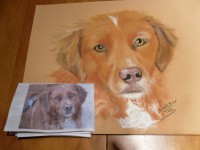 /album/galerie-photos/photo-1678-jpg/